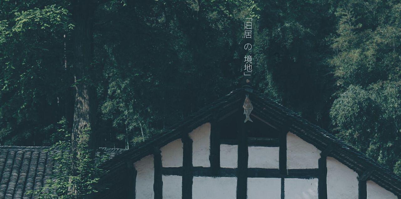 拯救可爱小鳄鱼
